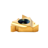 Carmex 22 ER 6.0 ISO P25C External ISO Metric Thread Turning Insert