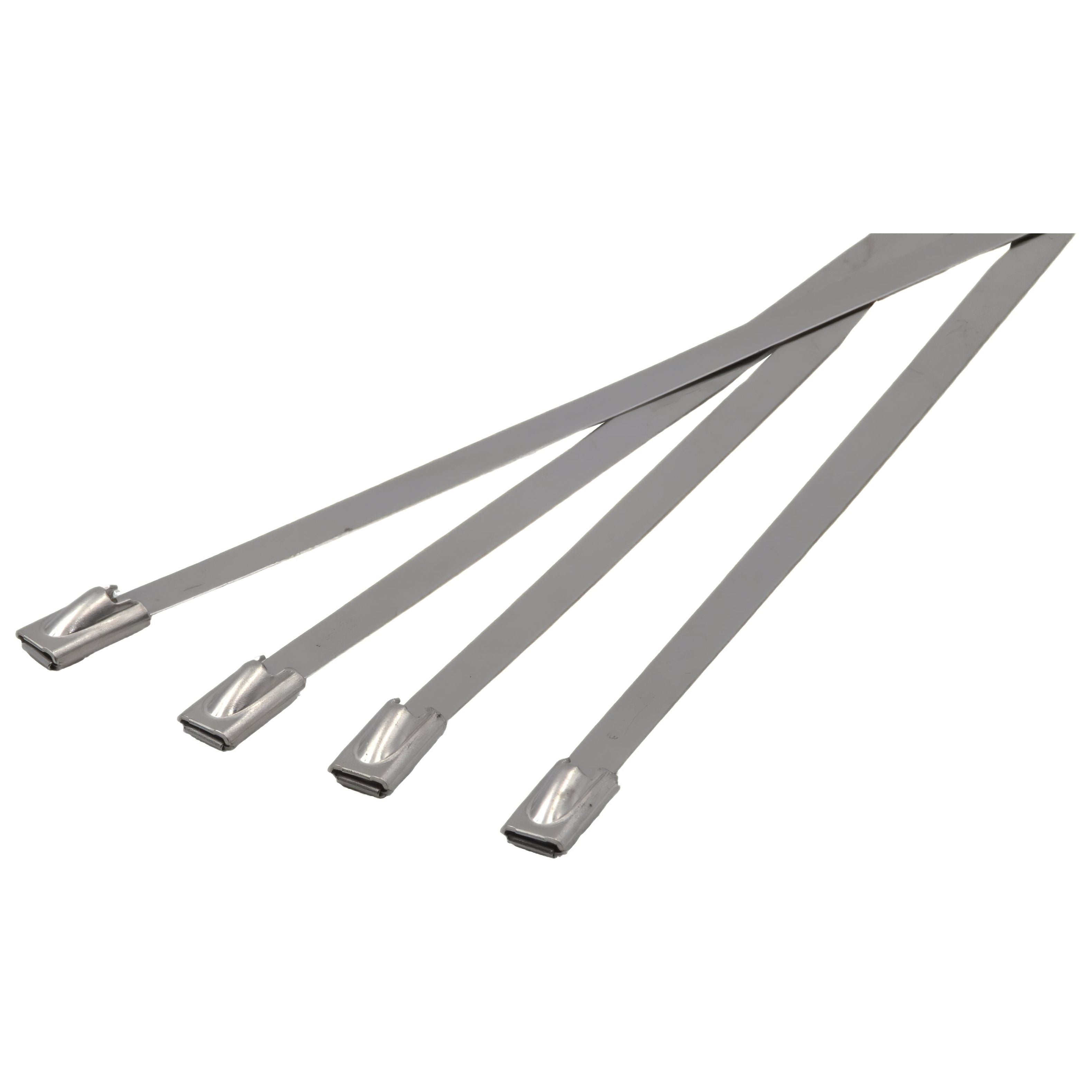 RAPTOR 304 Stainless Steel 300mm x 4.8mm Cable Ties, 20 Pack