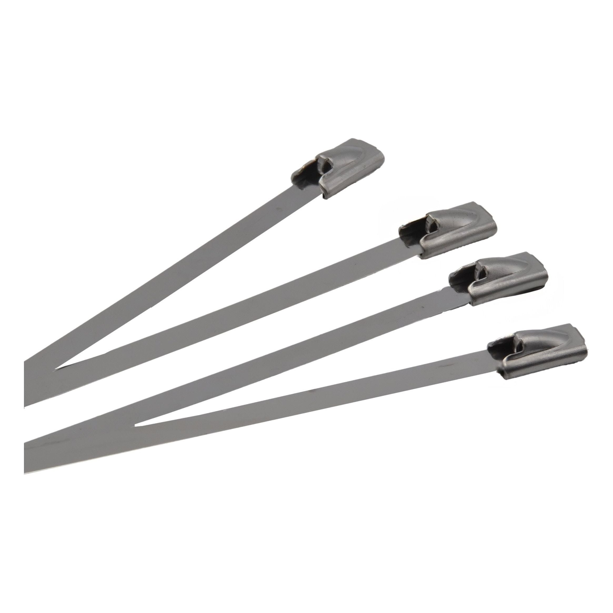 RAPTOR 304 Stainless Steel 300mm x 4.8mm Cable Ties, 20 Pack