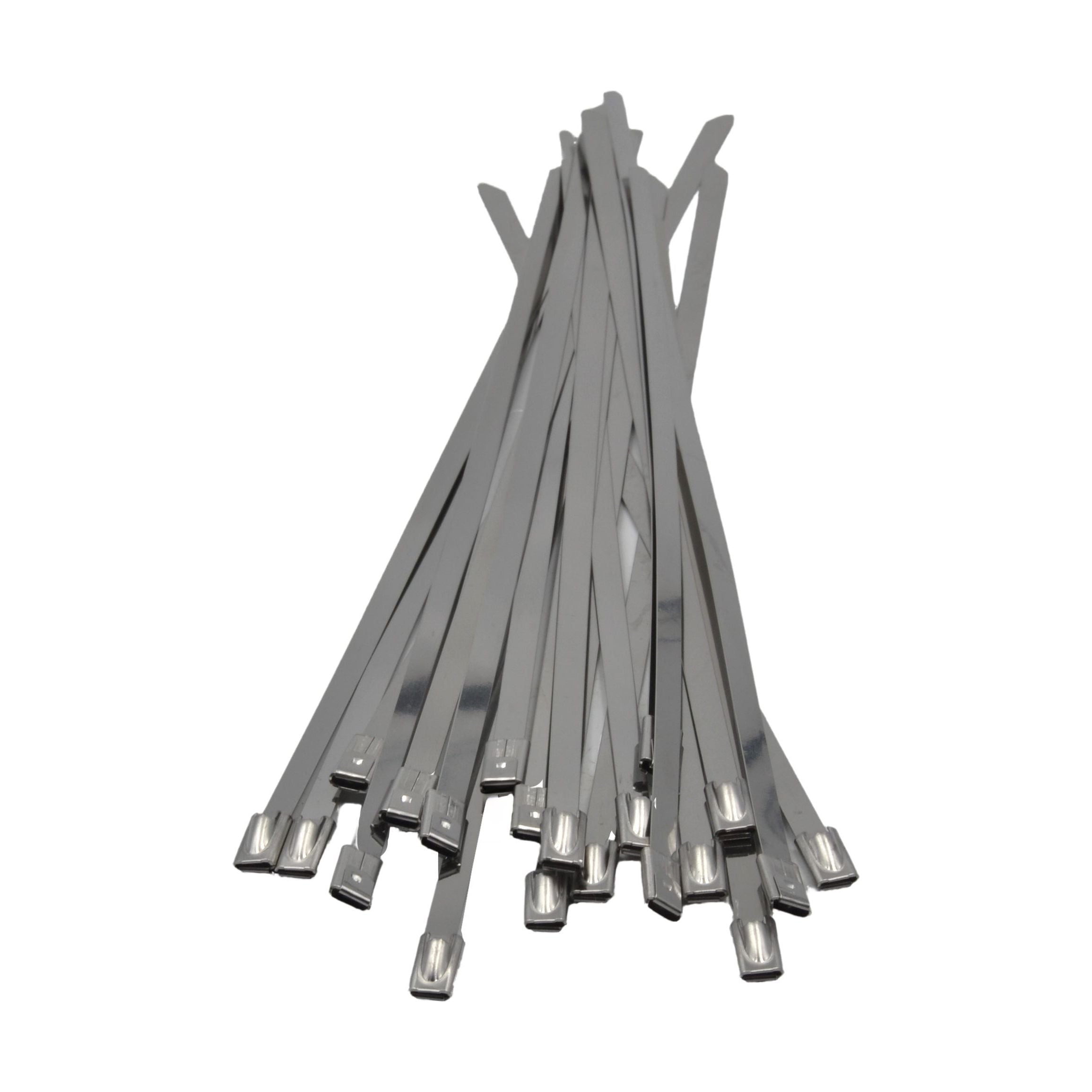 RAPTOR 304 Stainless Steel 300mm x 4.8mm Cable Ties, 20 Pack