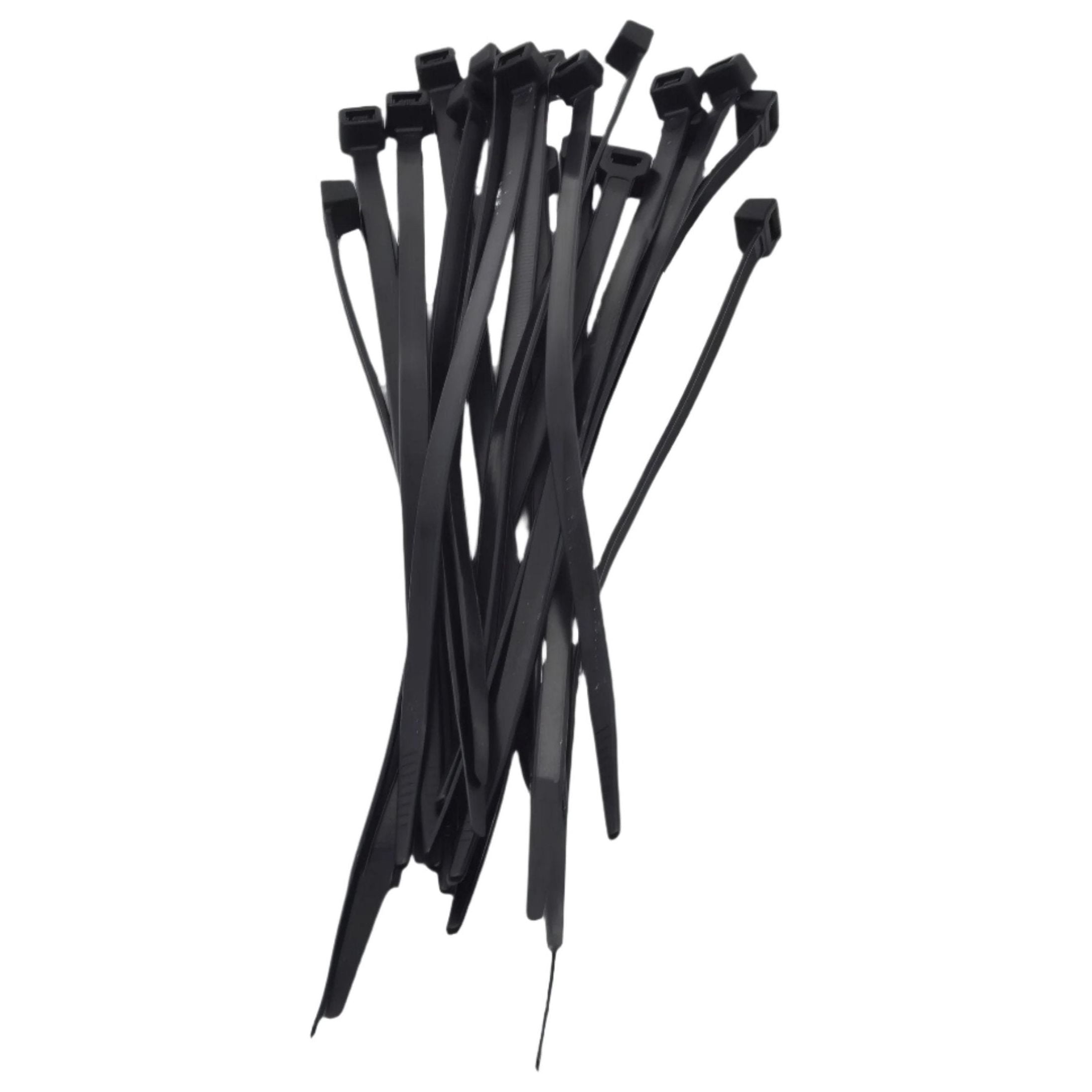 RAPTOR Black 200mm x 4.8mm Medium Duty Cable Ties, 20 Pack