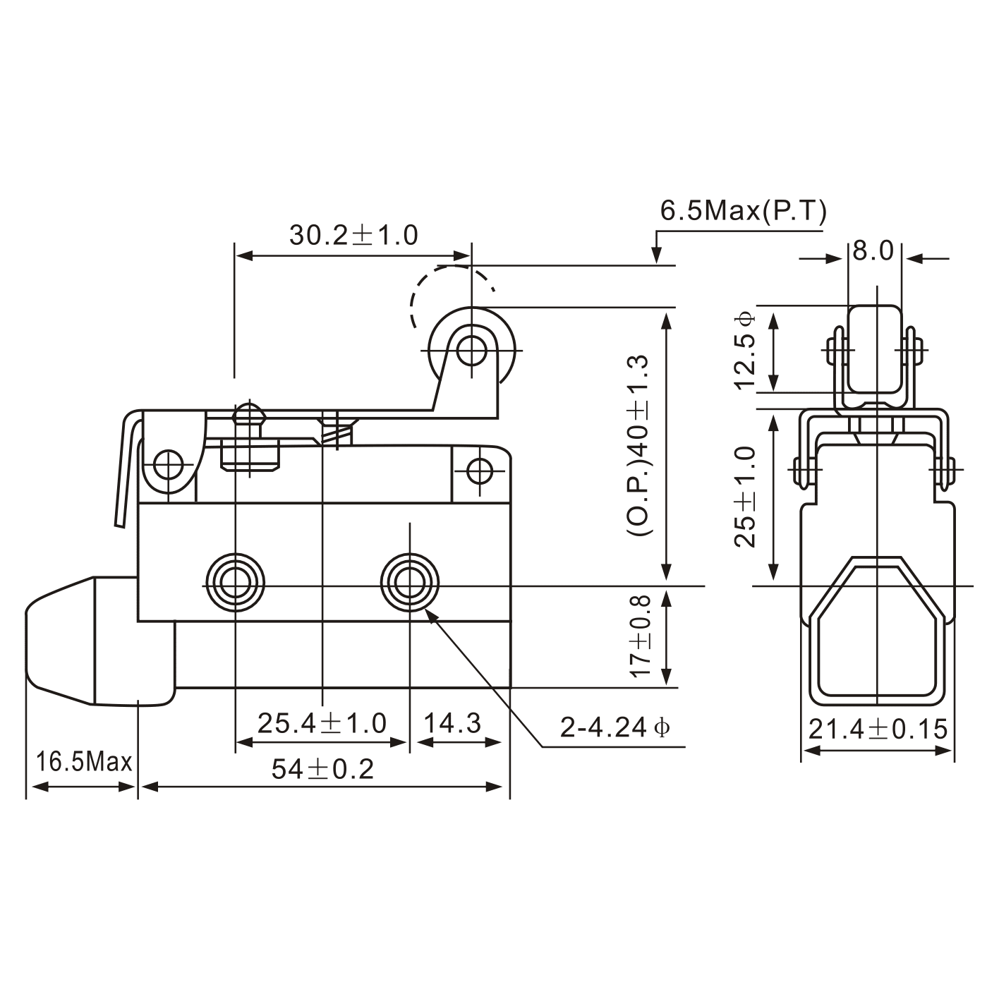 AZ-7141 Angled Lever with Roller Limit Switch - Twin Eagle Imports