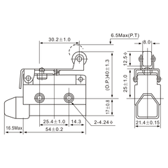 AZ-7141 Angled Lever with Roller Limit Switch - Twin Eagle Imports