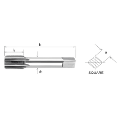Capital HSS 1/4" BSPF Intermediate Tap – T405-2819 - Twin Eagle Imports