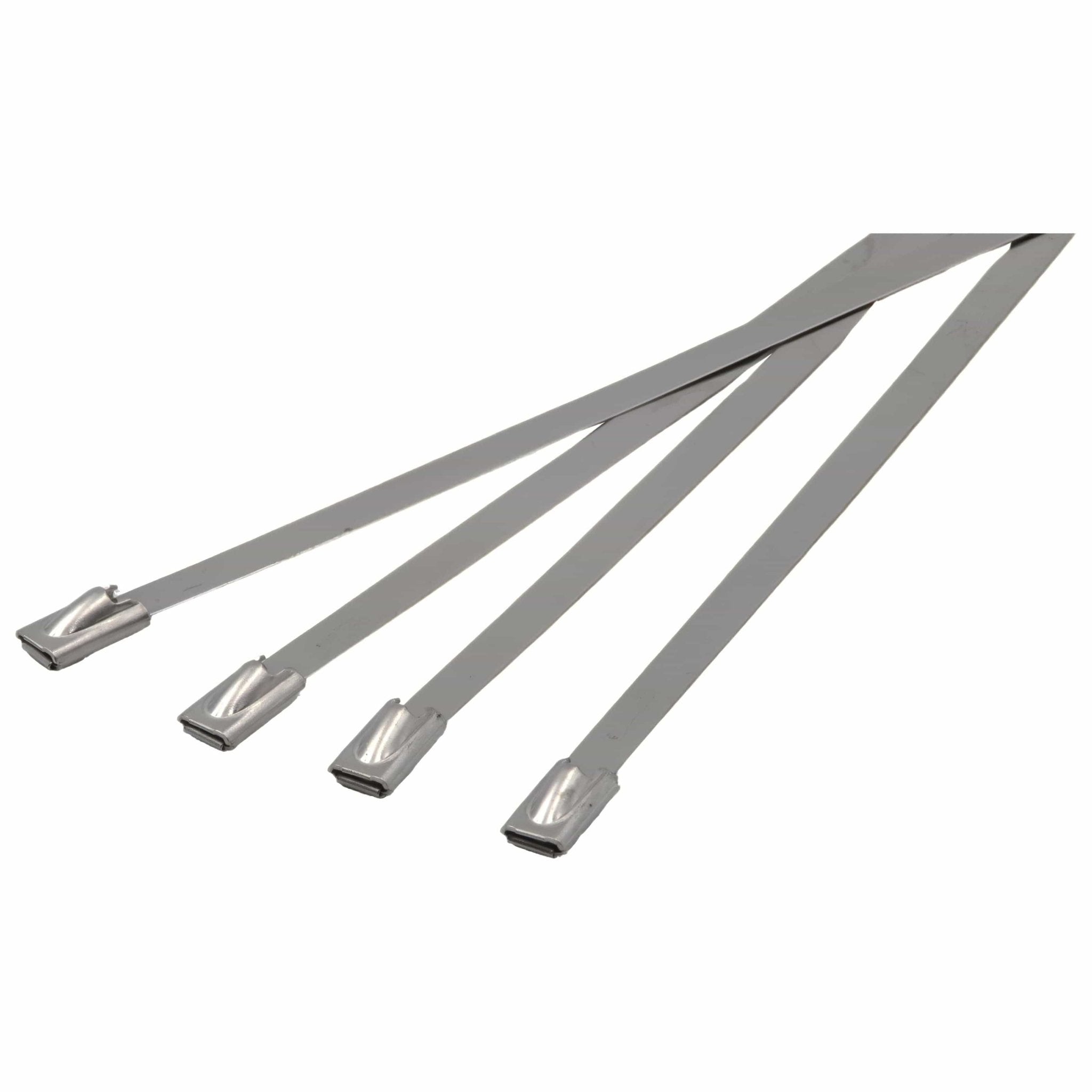 RAPTOR 304 Stainless Steel 300mm x 4.8mm Cable Ties, 20 Pack - Twin Eagle Imports