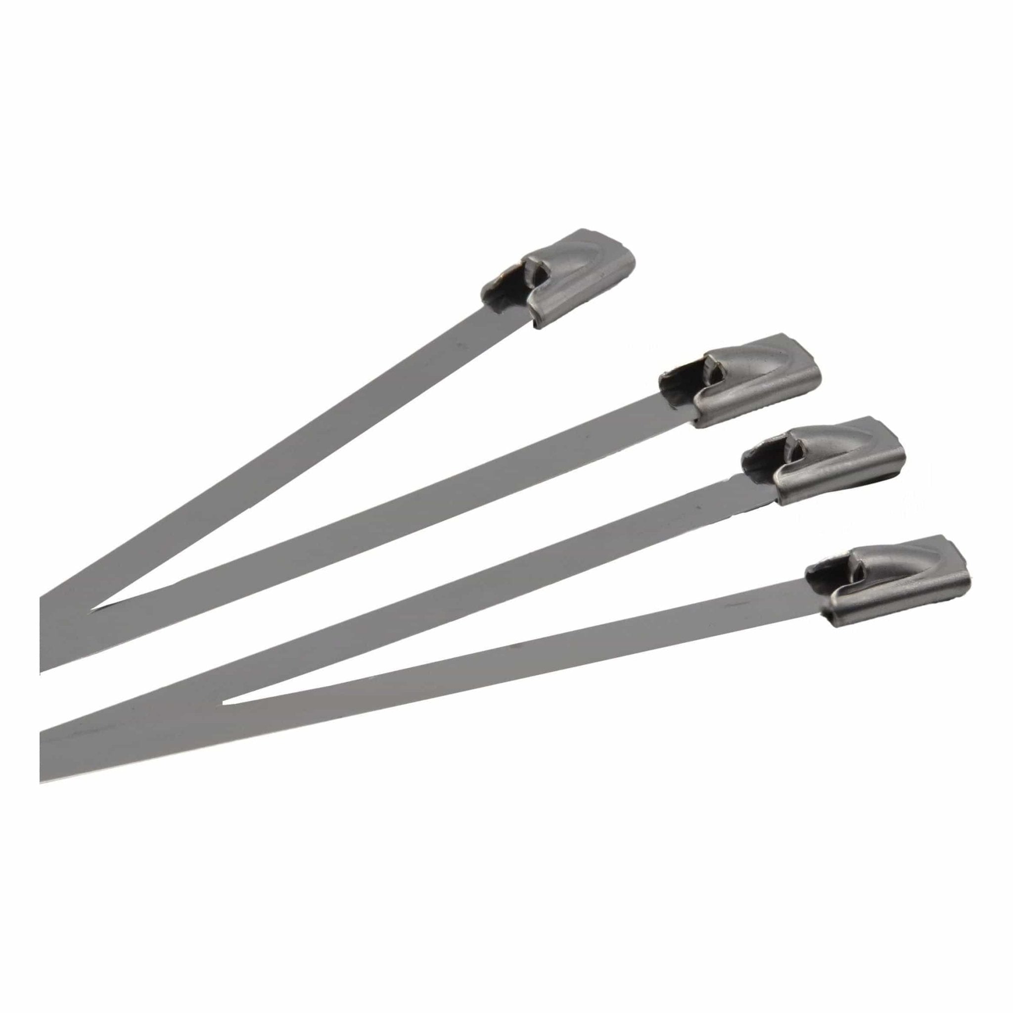RAPTOR 304 Stainless Steel 300mm x 4.8mm Cable Ties, 20 Pack - Twin Eagle Imports