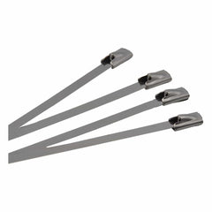 RAPTOR 304 Stainless Steel 300mm x 4.8mm Cable Ties, 20 Pack - Twin Eagle Imports