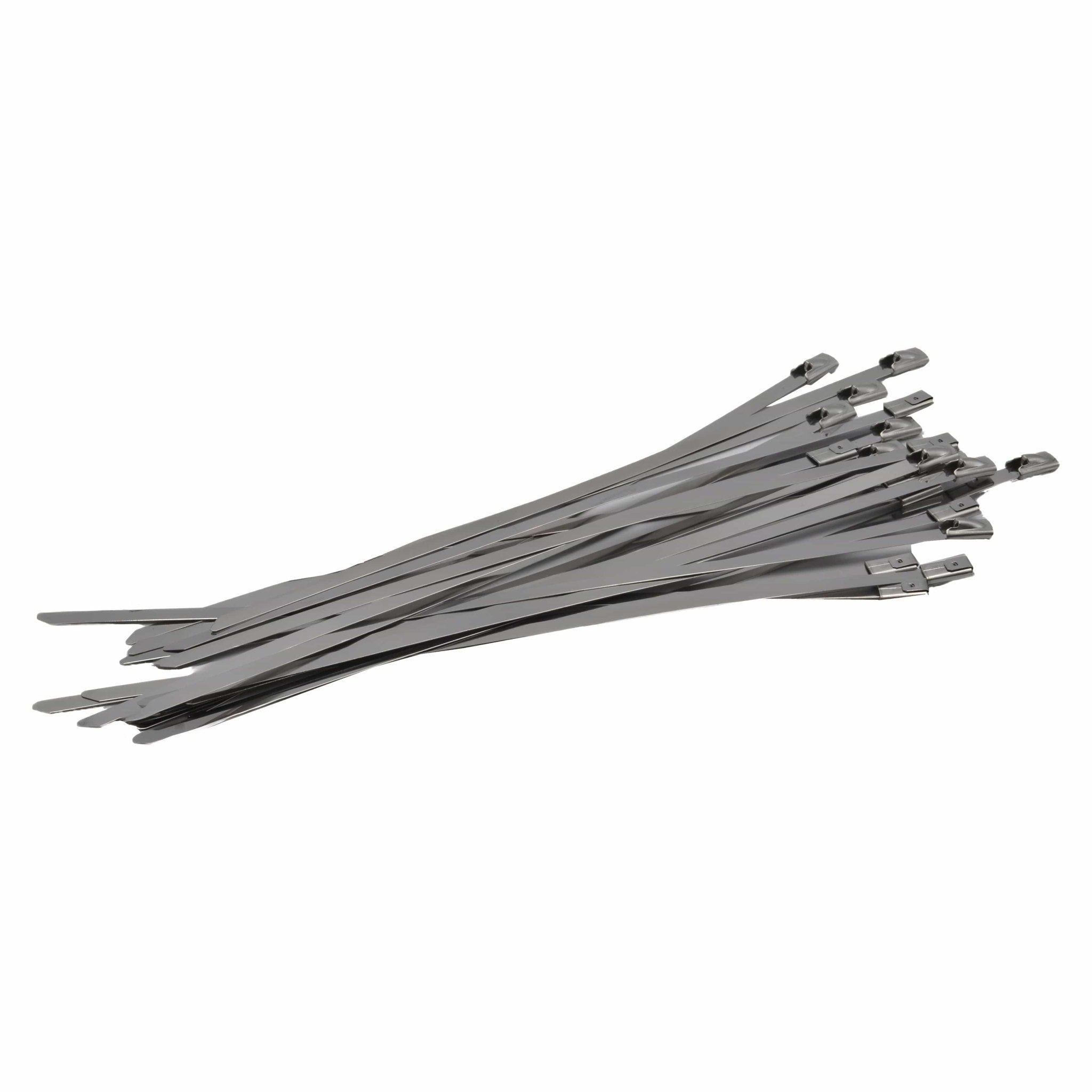 RAPTOR 304 Stainless Steel 300mm x 4.8mm Cable Ties, 20 Pack - Twin Eagle Imports