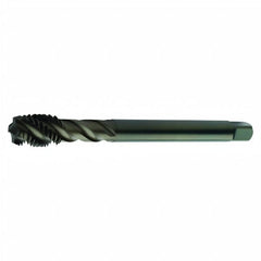 Sandvik HSS-E Blue Spiral Flute PVD FeN coated Tap M22 x 2.5, DIN 376 Standard Shank - Twin Eagle Imports