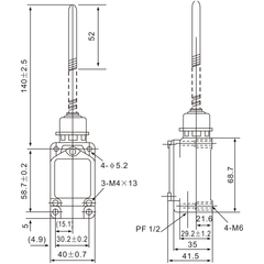 Tianyi Switch WLNJ-30 Stainless Steel Coil Spring Lever Limit Switch