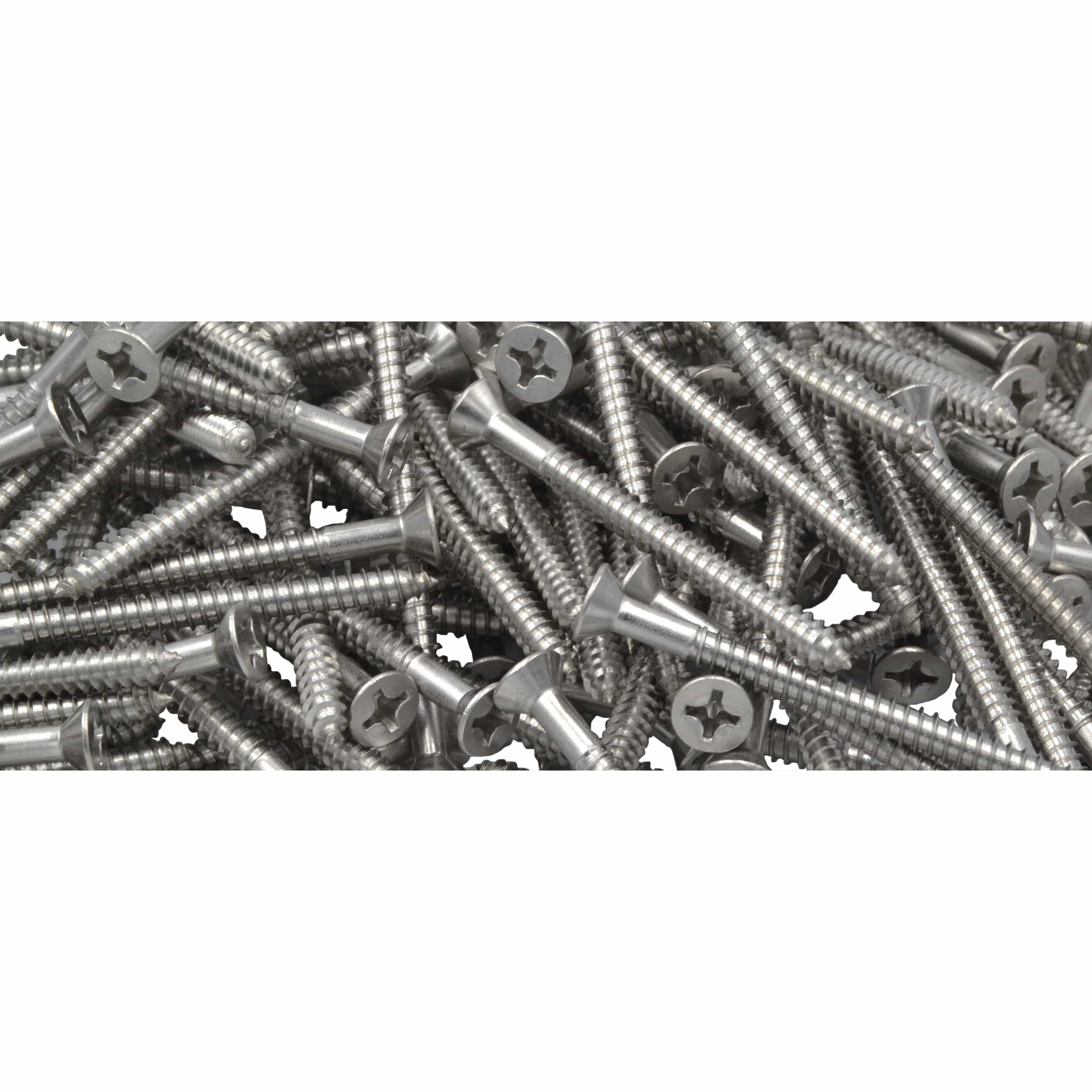 Twin Eagle Imports Grab Kits x500 304 Stainless Steel 12G x 63mm Wood Screws Grab Kit