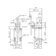 WLCA12-2-Q MicroLimit Switch with Adjustable Roller Arm - Twin Eagle Imports