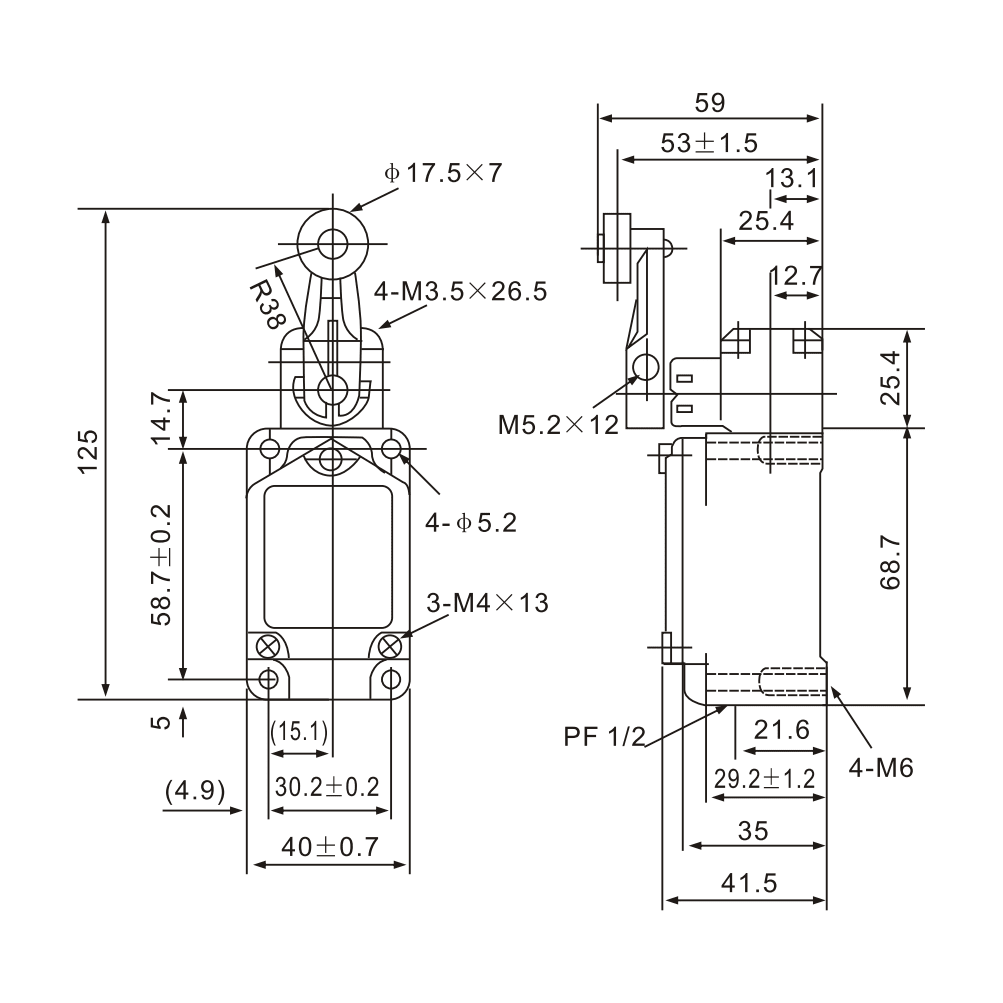 WLCA2-2 Micro Limit Switch with Adjustable Lever Roller Arm - Twin Eagle Imports