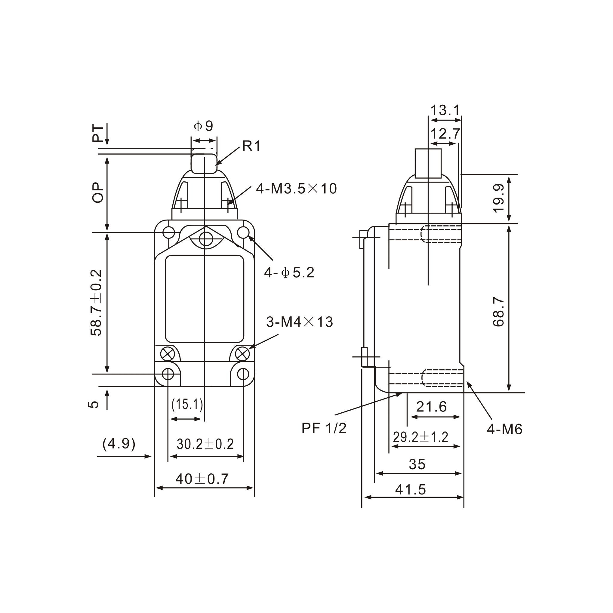 WLD Stainless Steel Pin Plunger Limit Switch - Twin Eagle Imports