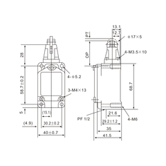 WLD1 Top-Roller Stainless Plunger Limit Switch - Twin Eagle Imports