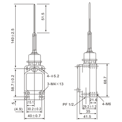 WLNJ-S2 Stainless Steel Cats Whisker Lever Limit Switch - Twin Eagle Imports