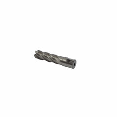 11/16" x 2" Annular cutter 3/4" Weldon Shank - Twin Eagle Imports