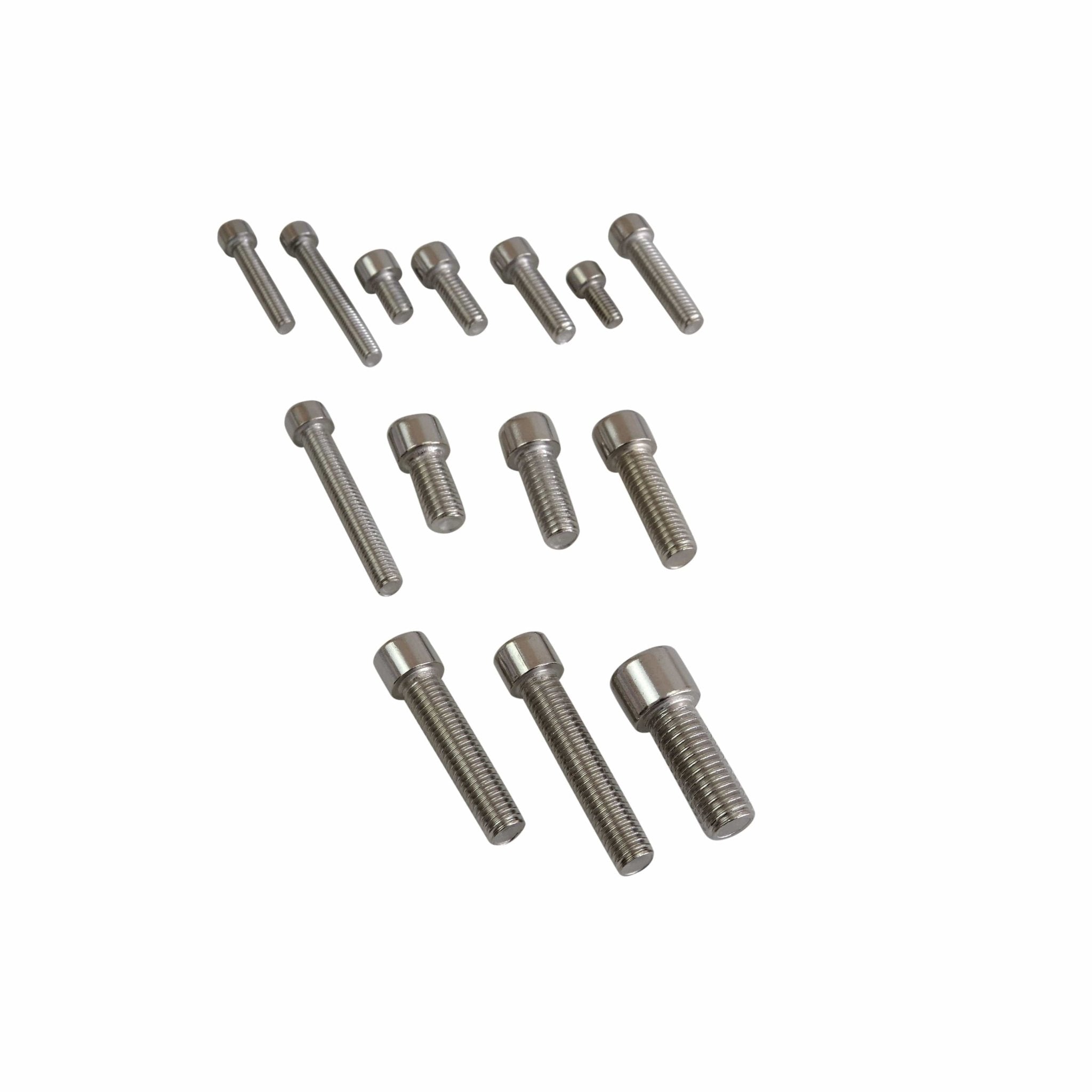 90pc Stainless Steel Cap Screw Bolt Assortment Grab Kit - Twin Eagle Imports