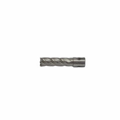 Twin Eagle Imports Annular Cutter 11/16" x 2"  Annular cutter 3/4" Weldon Shank