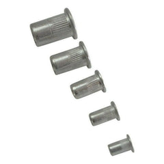 Twin Eagle Imports Nutserts 100pc Metric Aluminium Nutserts Grab Kit